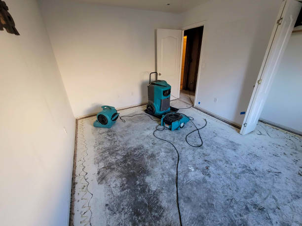 Best Professional water damage repair  in Hayward, WI