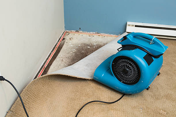 Reliable Hayward, WI Water damage restoration Solutions